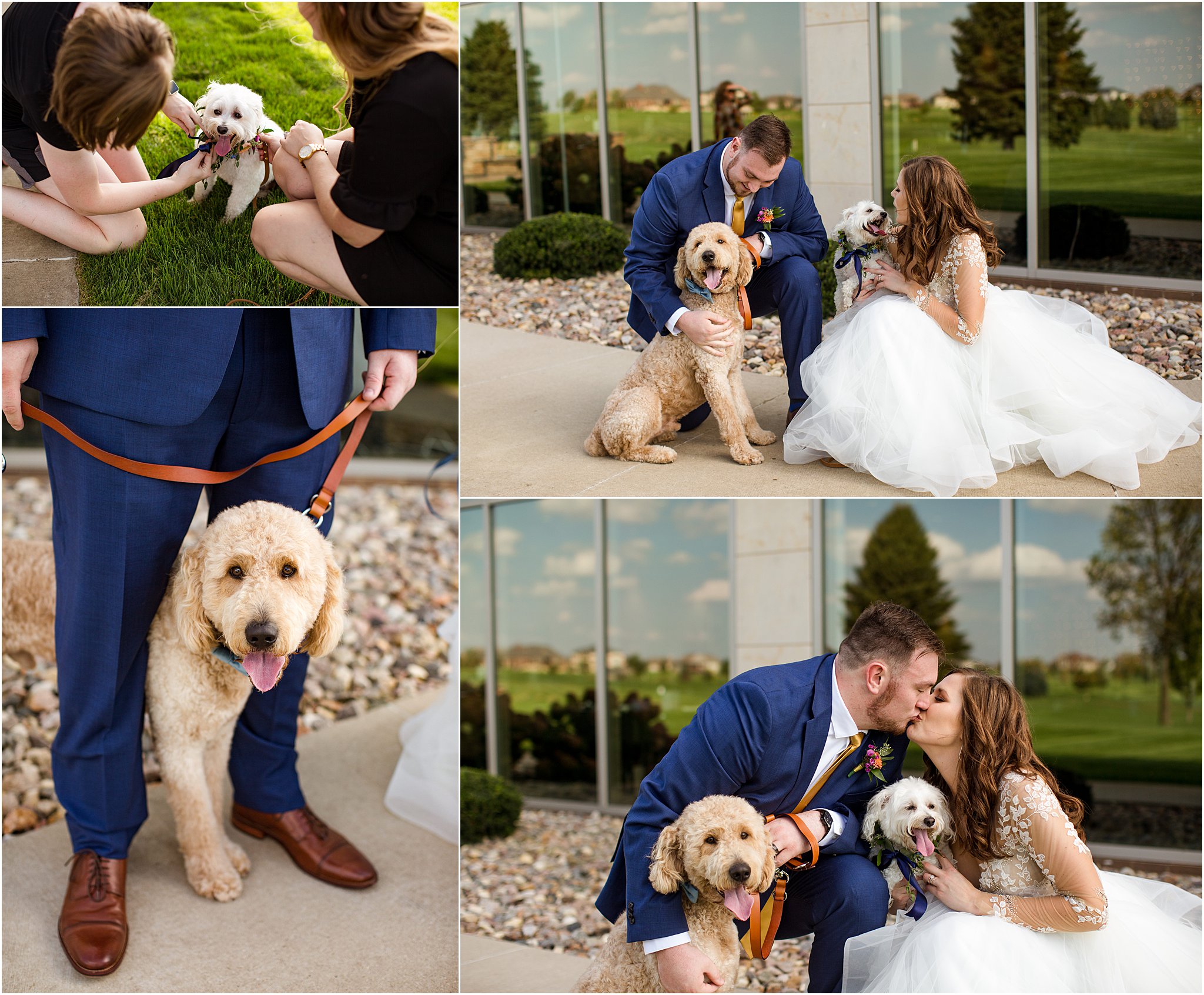 bride and groom posing with their puppies